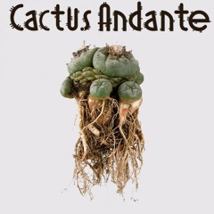 cactusandante