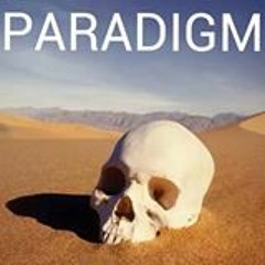 Paradigm_