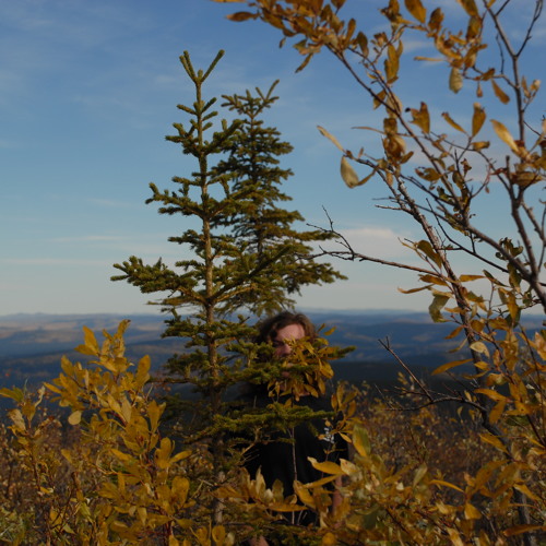 Autumn Sweater (Yo la Tengo)