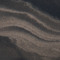 Hamamelidacae