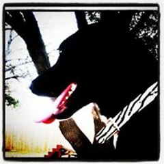 Carolina Monasterios