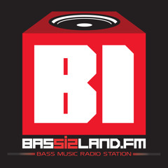 Bass Island Radio