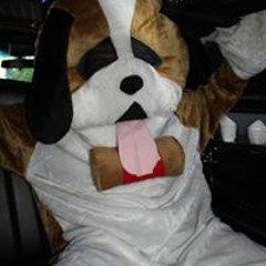 Fred Discoteckanimation