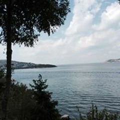 Nada I. Shawareb Mohtaseb