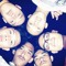 LikeOnSundayEvening
