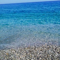 bradenalexanderbraden