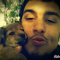 Panagioths Logotheths