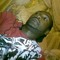 Tshidiso Legodi