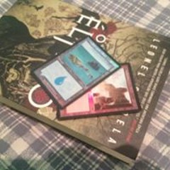 Bruno Godoi Do Amaral