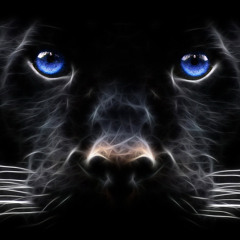 Panther Eyes