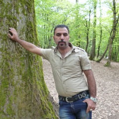 saeid dadashi