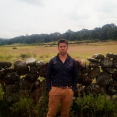 Enrique Gonzalez 169