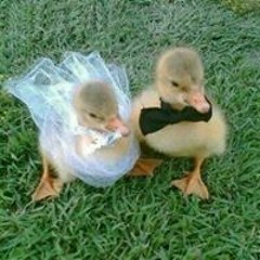 Natasja Schoonderbeek