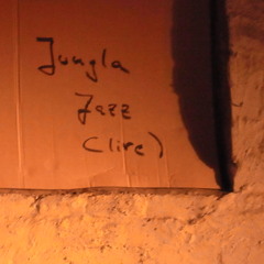 JunglaJazz