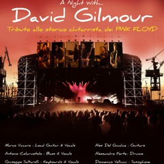 A night with Gilmour