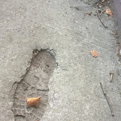 Danielia Cotton D-Day