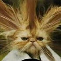 Christian Rossbach 1