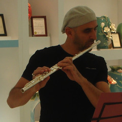 Vivaldi Flute Concerto in  F Major 2