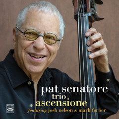 Pat Senatore