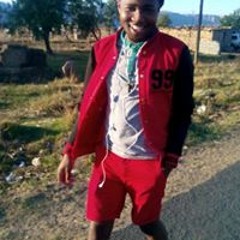 Star Forester Maphesa