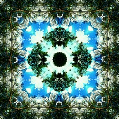 Volition
