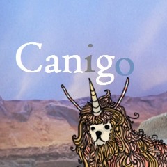 Canigo