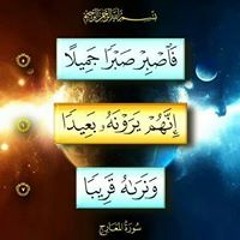 Hamdy Osman 4