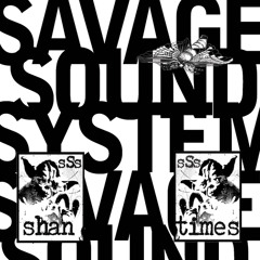 savage sound system