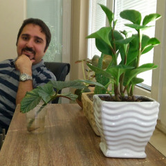 Arash Sadeghipour