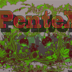 PenteX-2740