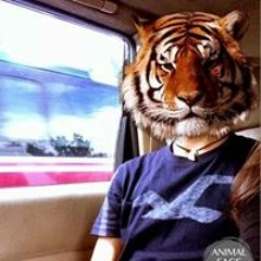 Toby Julio Toby Gorbachev