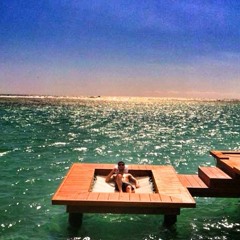 Bernard Catalan Teller