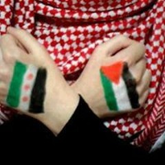 Ahmed Kabo 24