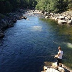 Viktor-David Friesen