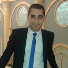 Ayman Sedky 2