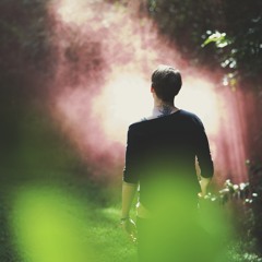 Dear Woodland Creatures