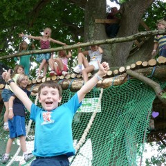 treehouse state of mind