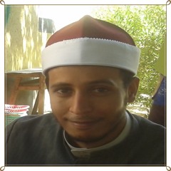 aboelhassan radwany