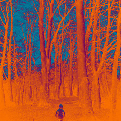 SVPRXMXLXSTSXCIXTYRXPXST