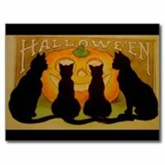 Cheri Gregory Sprung