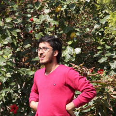 mohamed elazizy 2