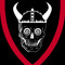 crazy VIKING