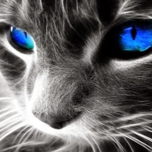 Dubstep Remixes Of Popular Songs 2014