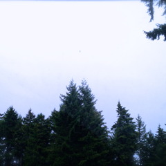 Reds-Phototropic (kyuss)