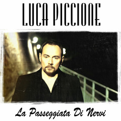 LUCA PICCIONE