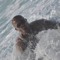 Mahmoud Elhadad 8