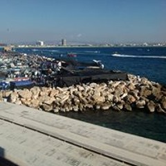 asma shahrour