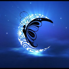 Butterfly & The Moon