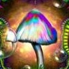 user788532827