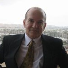 Reza Alavi 8